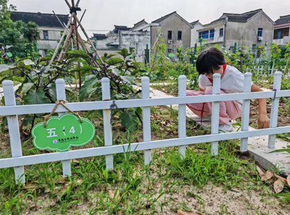 【诚真 劳动】一分耕耘，一分收获