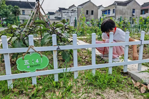 【诚真 劳动】一分耕耘，一分收获